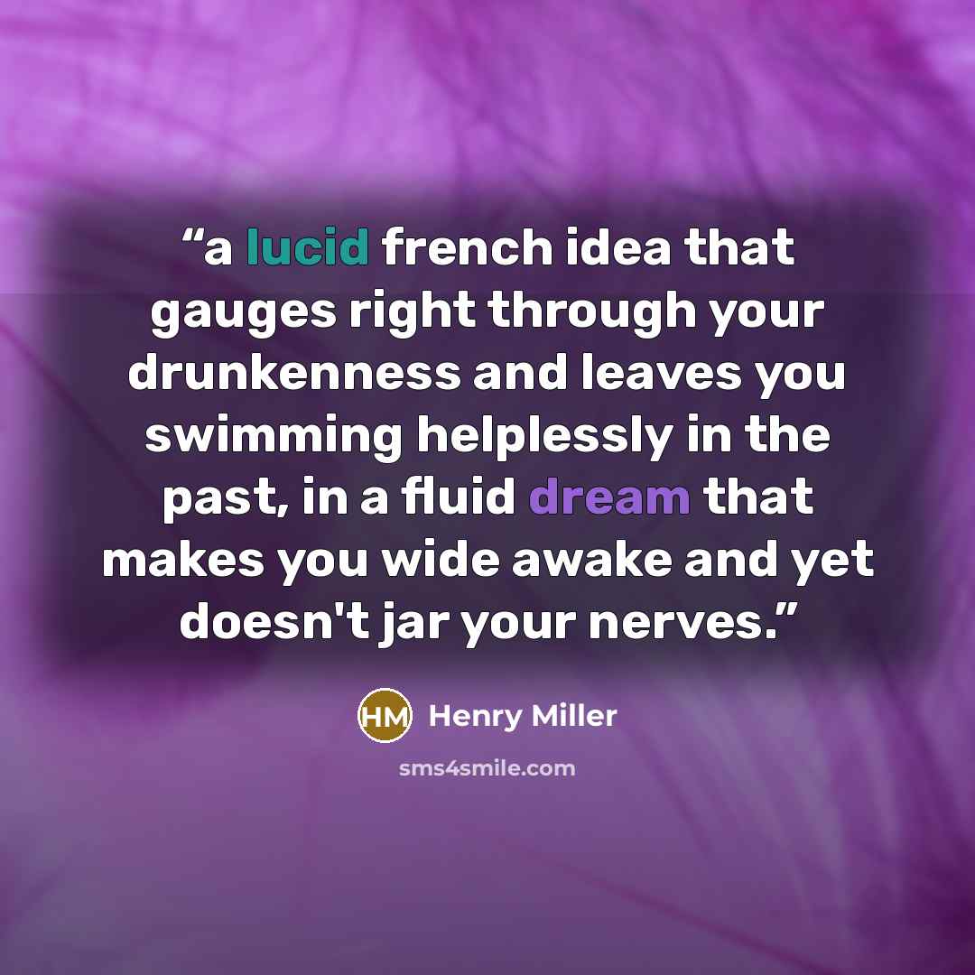 “a lucid french idea that gauges right through your drunkenness and leaves you swimming helplessly in the past, in a fluid dream that makes you wide awake and yet doesn't jar your nerves.” quote by Henry Miller