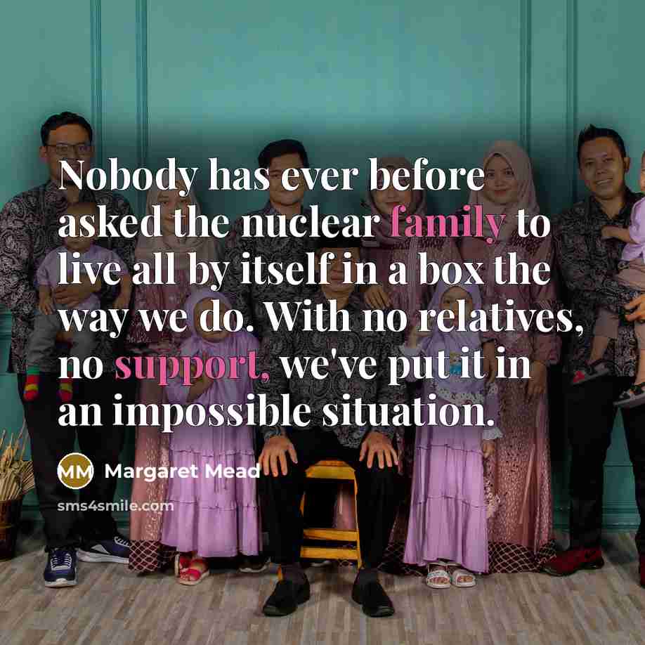 “Nobody has ever before asked the nuclear family to live all by itself in a box the way we do. With no relatives, no support, we've put it in an impossible situation.” quote by Margaret Mead