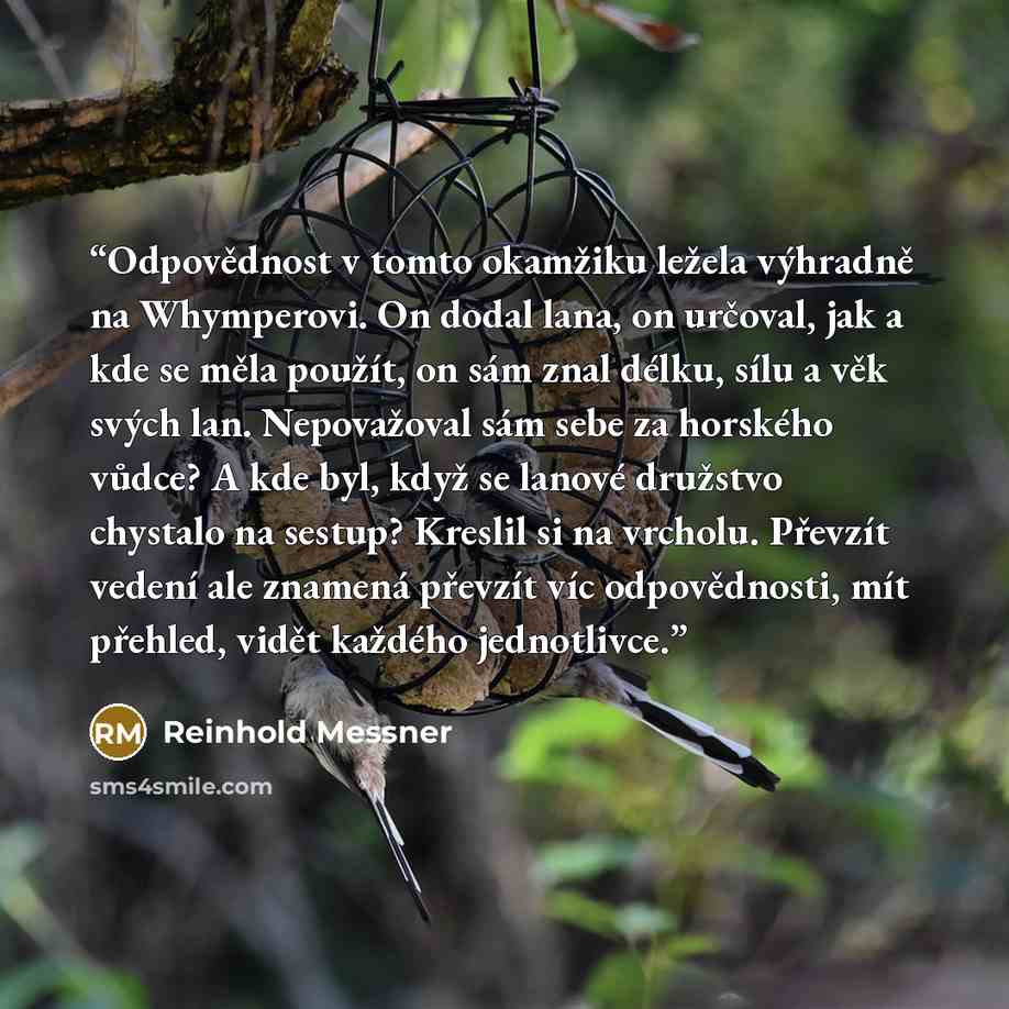 “Odpovědnost v tomto okamžiku ležela výhradně na Whymperovi. On dodal lana, on určoval, jak a kde se měla použít, on sám znal délku, sílu a věk svých lan. Nepovažoval sám sebe za horského vůdce? A kde byl, když se lanové družstvo chystalo na sestup? Kreslil si na vrcholu. Převzít vedení ale znamená…” quote by Reinhold Messner