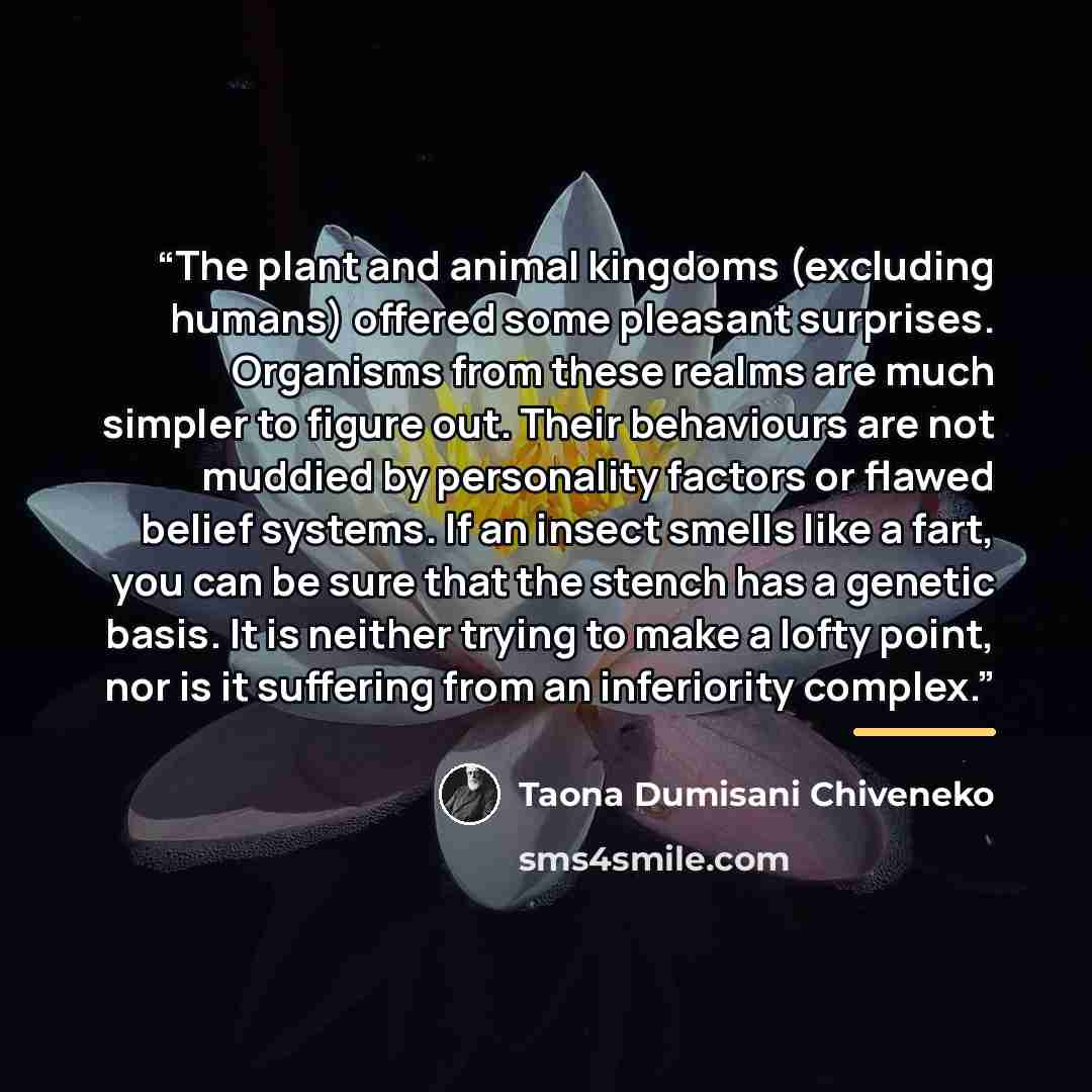 “The plant and animal kingdoms (excluding humans) offered some pleasant surprises. Organisms from these realms are much simpler to figure out. Their behaviours are not muddied by personality factors or flawed belief systems. If an insect smells like a fart, you can be sure that the stench has a…” quote by Taona Dumisani Chiveneko