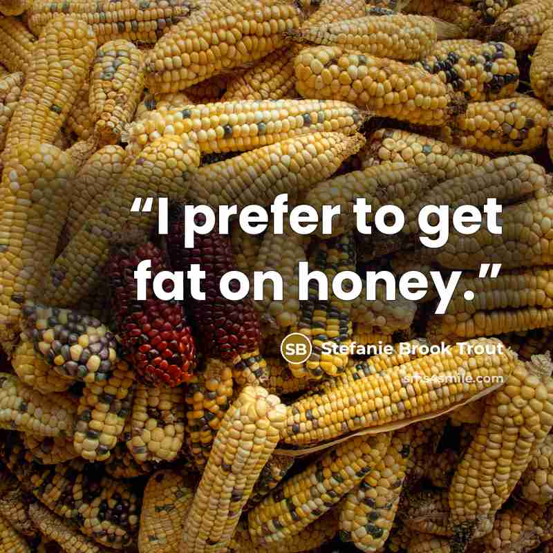 “I prefer to get fat on honey.” quote by Stefanie Brook Trout