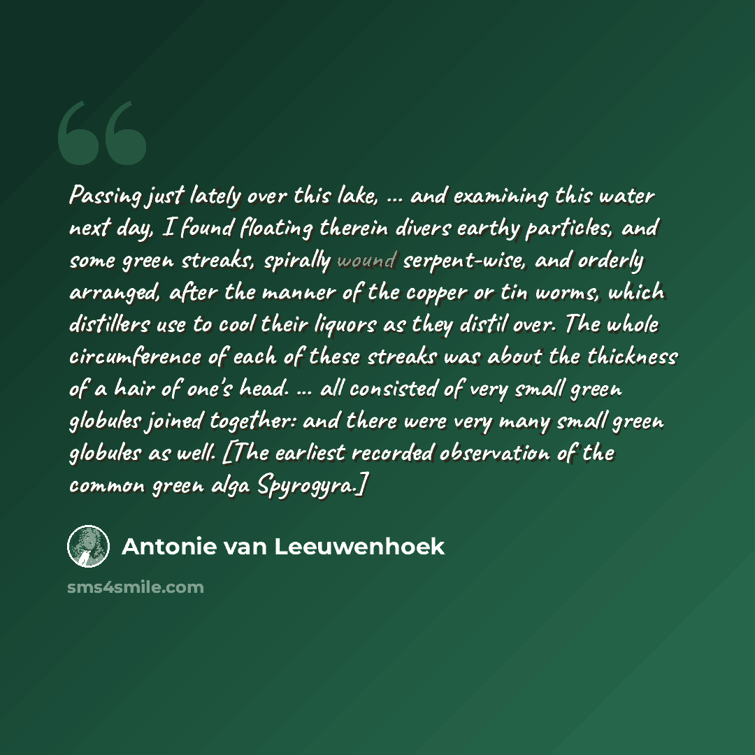 “Passing just lately over this lake, ... and examining this water next day, I found floating therein divers earthy particles, and some green streaks, spirally wound serpent-wise, and orderly arranged, after the manner of the copper or tin worms, which distillers use to cool their liquors as they…” quote by Antonie van Leeuwenhoek