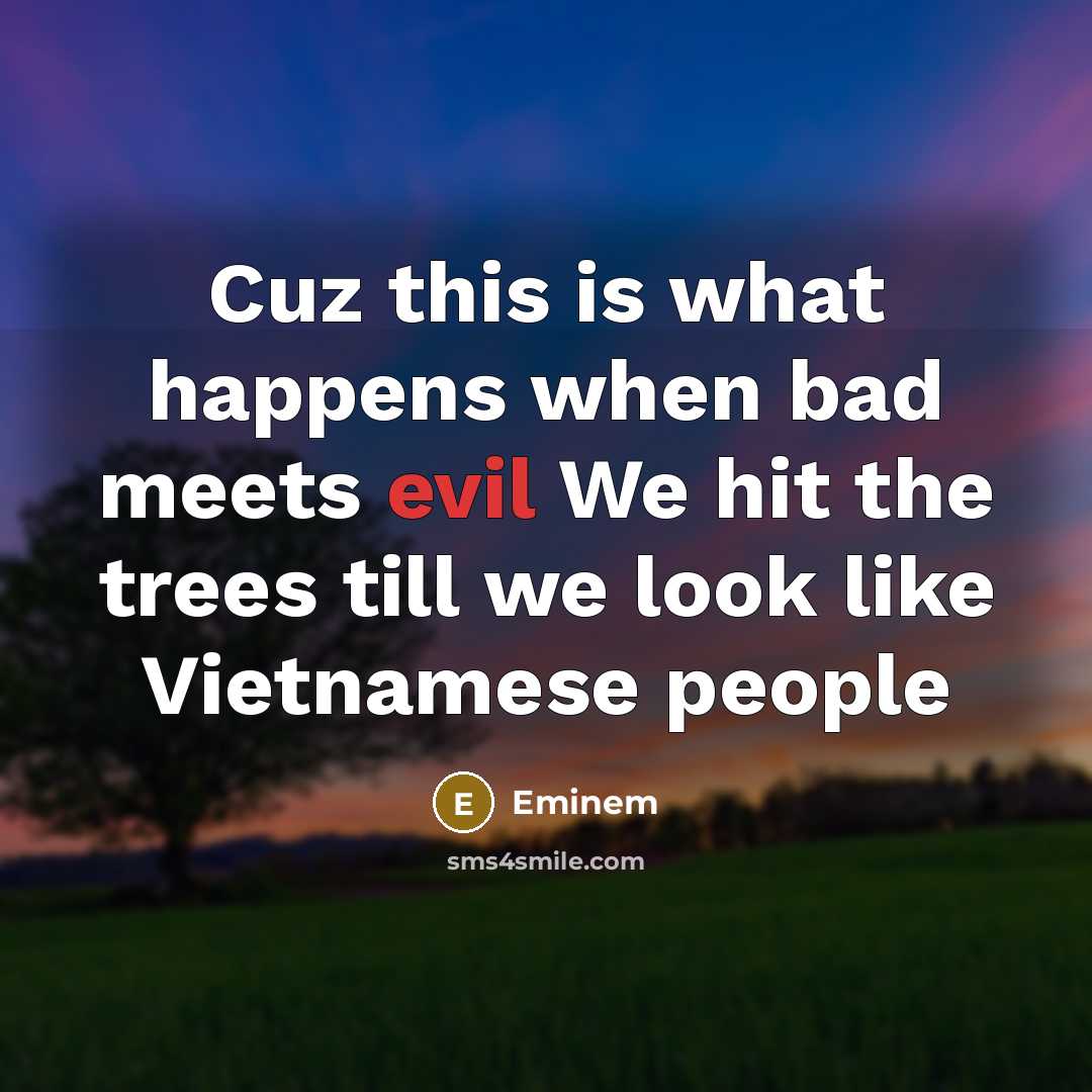 “Cuz this is what happens when bad meets evil We hit the trees till we look like Vietnamese people” quote by Eminem