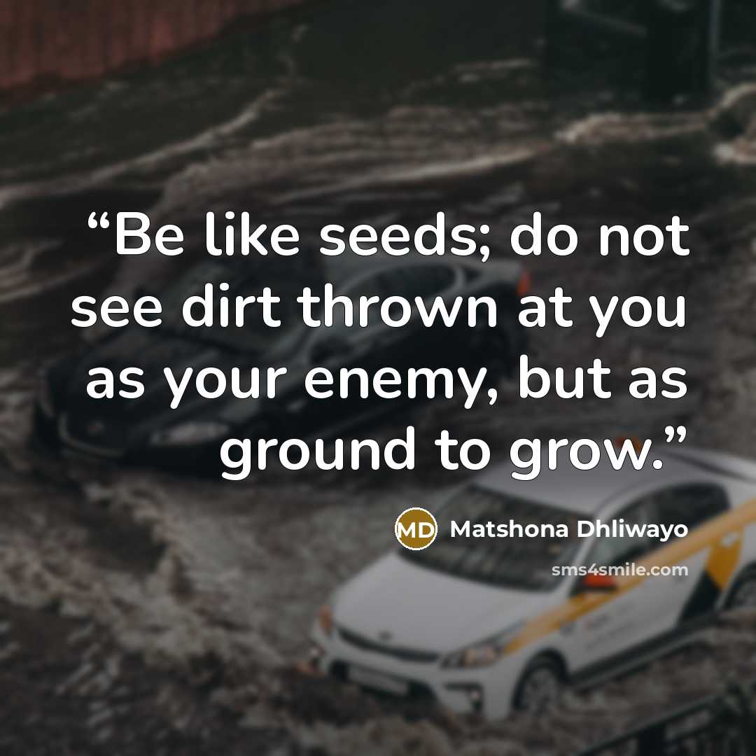 “Be like seeds; do not see dirt thrown at you as your enemy, but as ground to grow.” quote by Matshona Dhliwayo