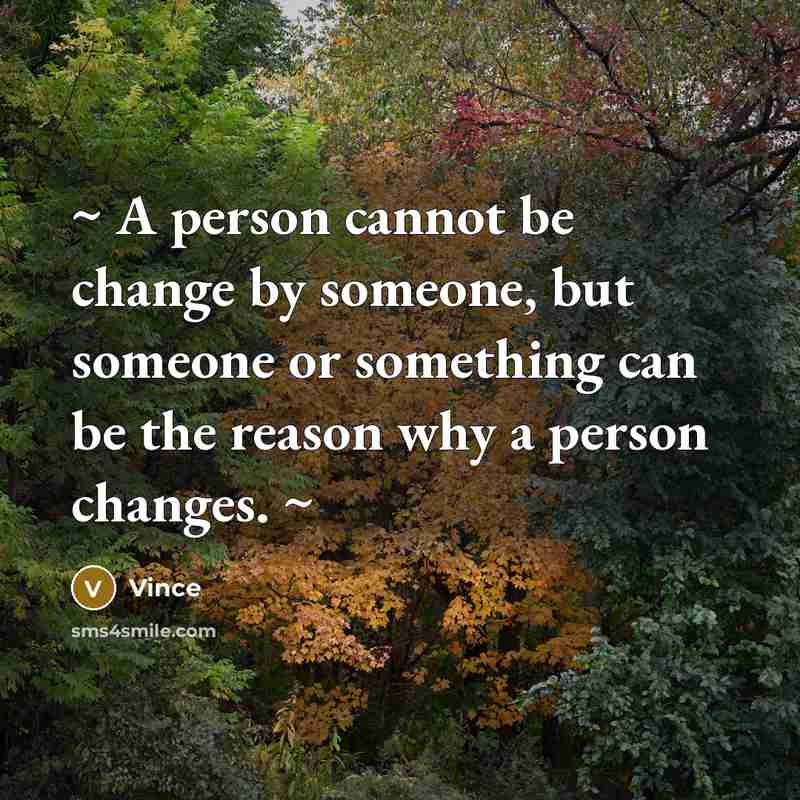 “~ A person cannot be change by someone, but someone or something can be the reason why a person changes. ~” quote by Vince