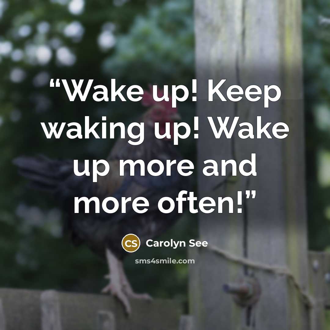 “Wake up! Keep waking up! Wake up more and more often!” quote by Carolyn See