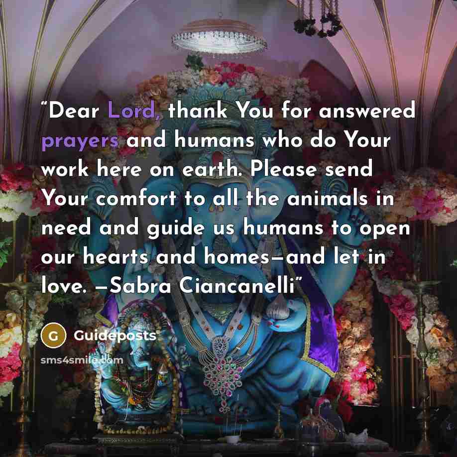 “Dear Lord, thank You for answered prayers and humans who do Your work here on earth. Please send Your comfort to all the animals in need and guide us humans to open our hearts and homes—and let in love. —Sabra Ciancanelli” quote by Guideposts