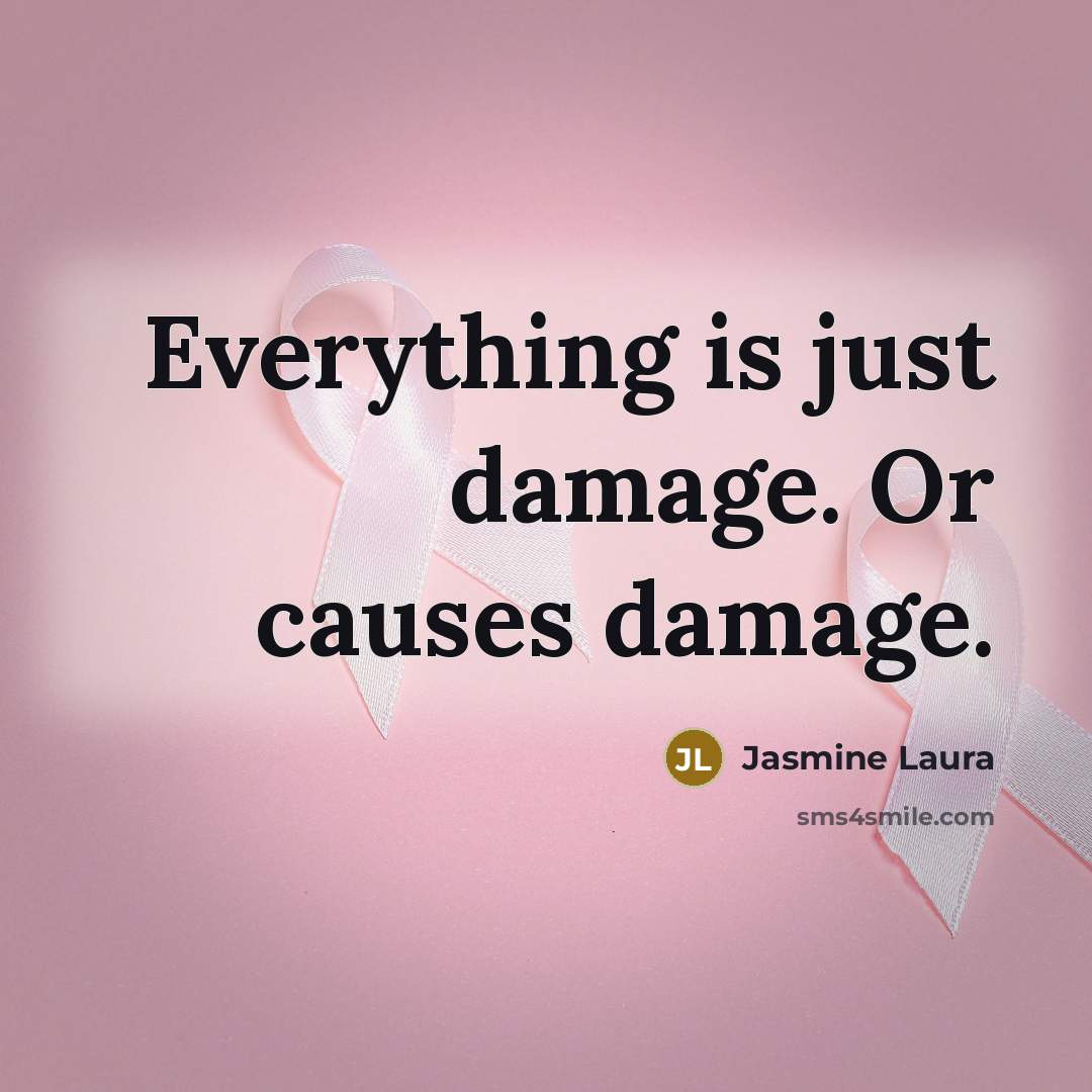 “Everything is just damage. Or causes damage.” quote by Jasmine Laura