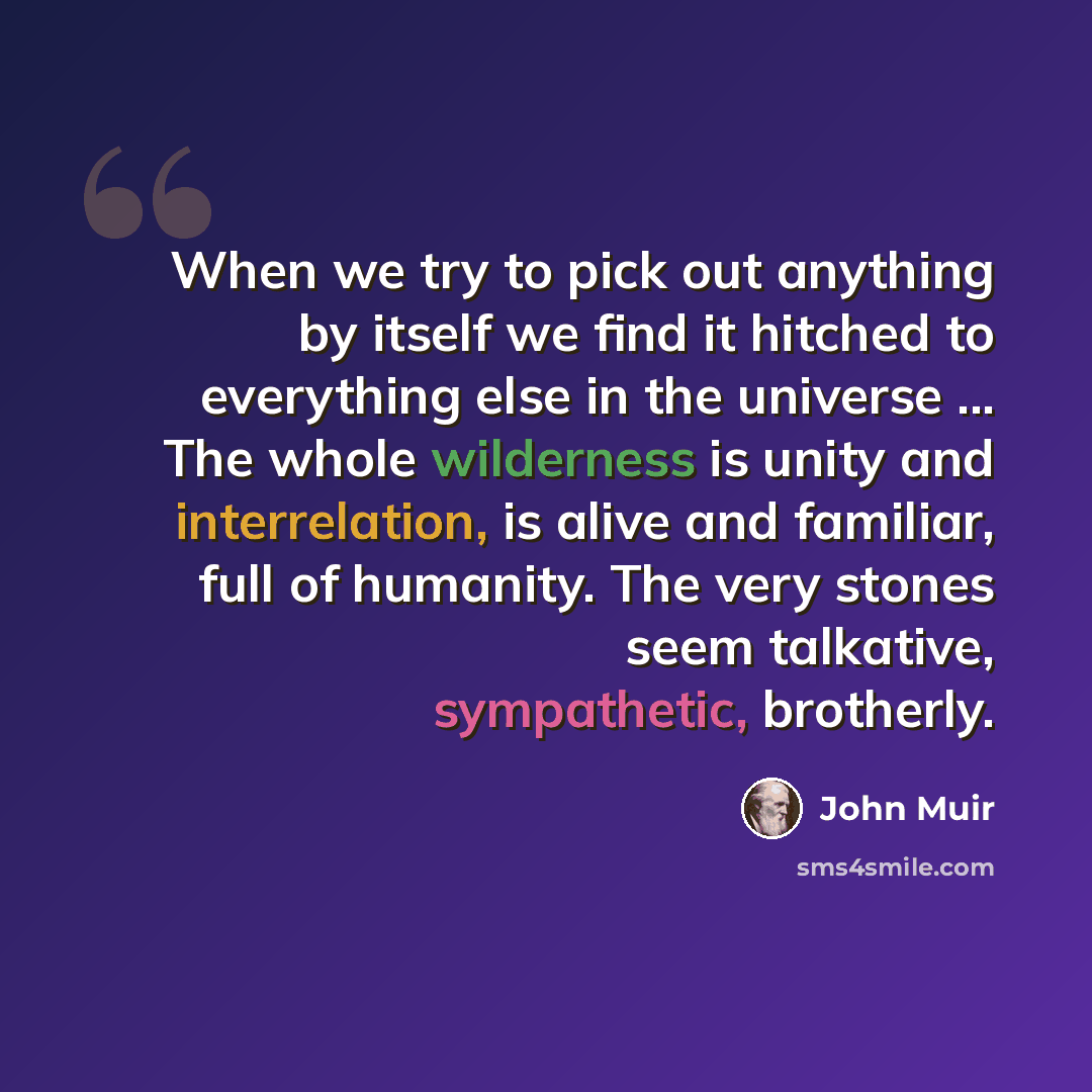 “When we try to pick out anything by itself we find it hitched to everything else in the universe ... The whole wilderness is unity and interrelation, is alive and familiar, full of humanity. The very stones seem talkative, sympathetic, brotherly.” quote by John Muir