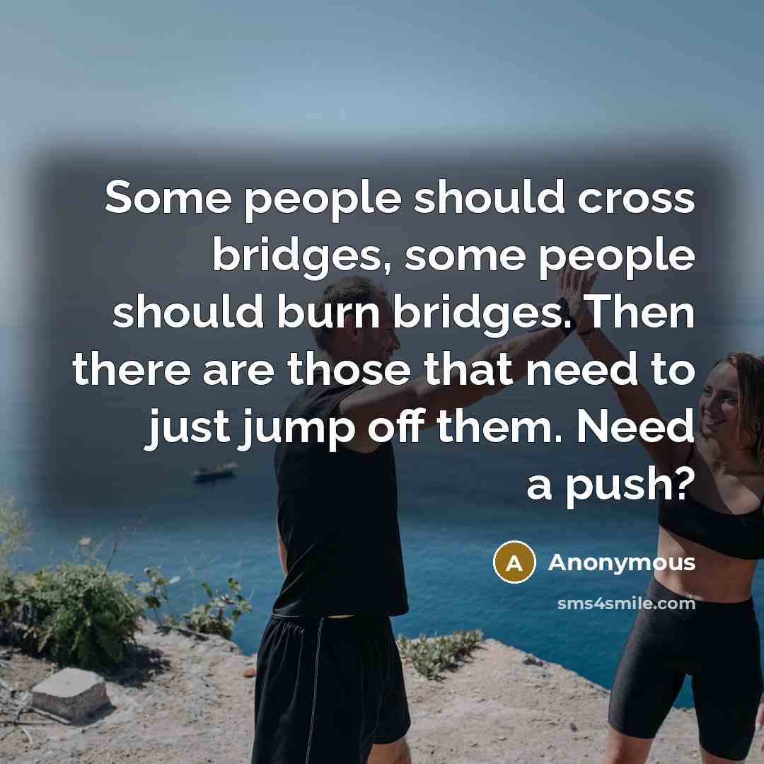 “Some people should cross bridges, some people should burn bridges. Then there are those that need to just jump off them. Need a push?” quote by Anonymous