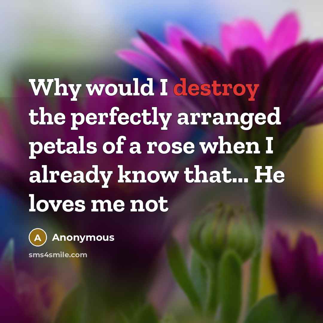 “Why would I destroy the perfectly arranged petals of a rose when I already know that... He loves me not” quote by Anonymous