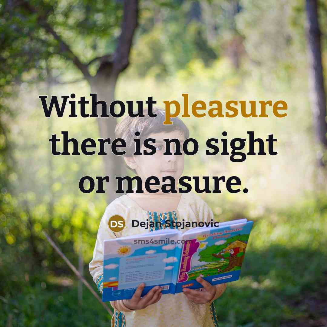 “Without pleasure there is no sight or measure.” quote by Dejan Stojanovic