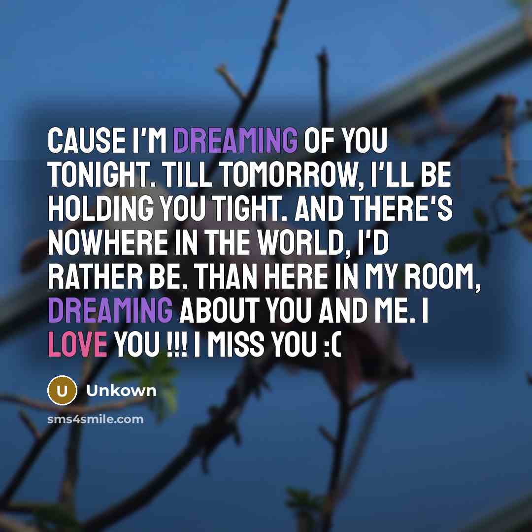 “Cause I'm dreaming of you tonight. Till tomorrow, I'll be holding you tight. And there's nowhere in the world, I'd rather be. than here in my room, dreaming about you and me. I love you !!! I miss you :(” quote by Unkown