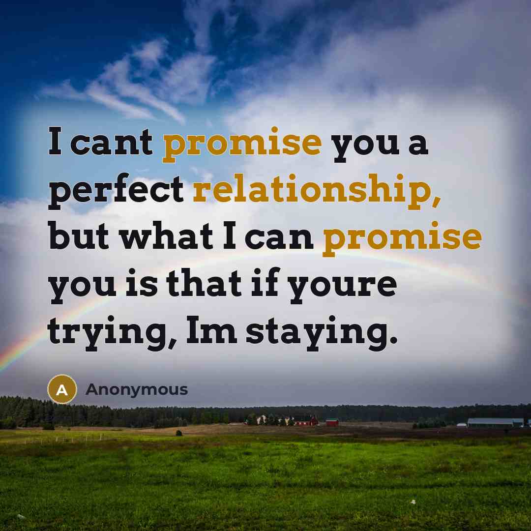 “I cant promise you a perfect relationship, but what I can promise you is that if youre trying, Im staying.” quote by Anonymous