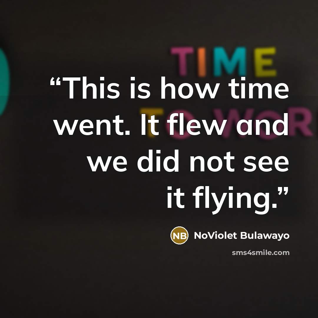 “This is how time went. It flew and we did not see it flying.” quote by NoViolet Bulawayo