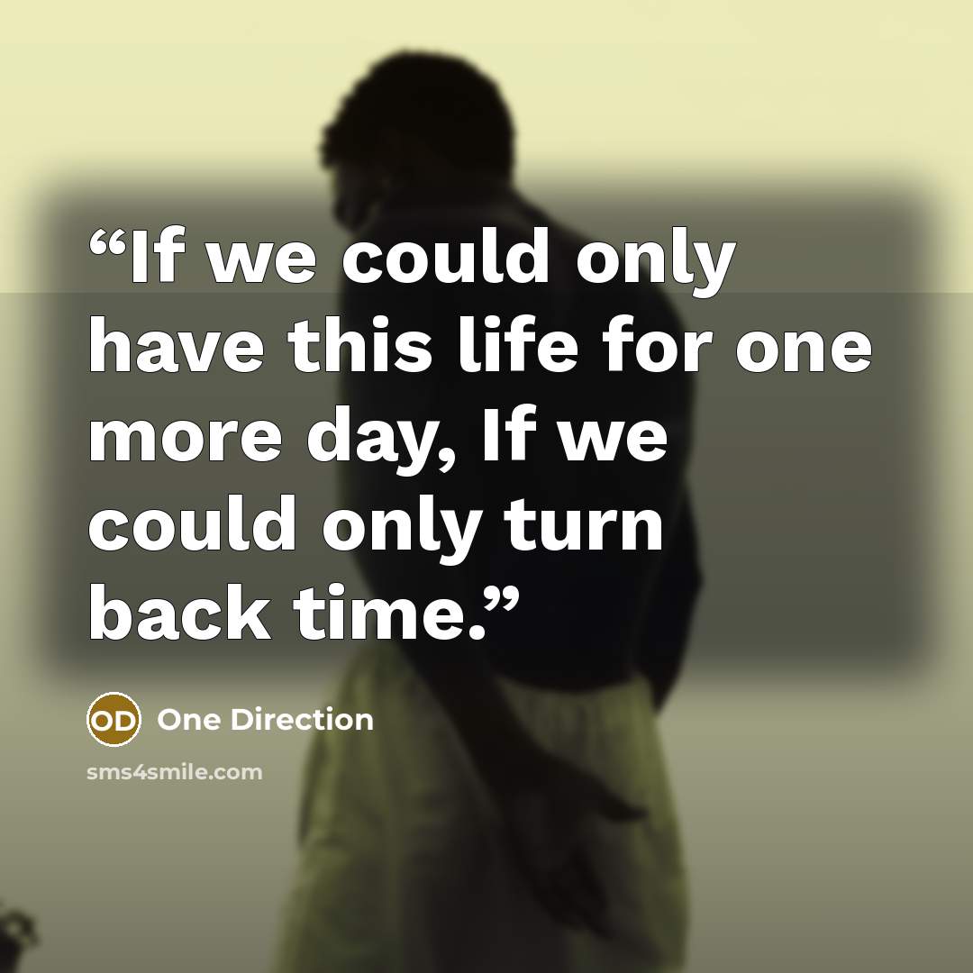 “If we could only have this life for one more day, If we could only turn back time.” quote by One Direction