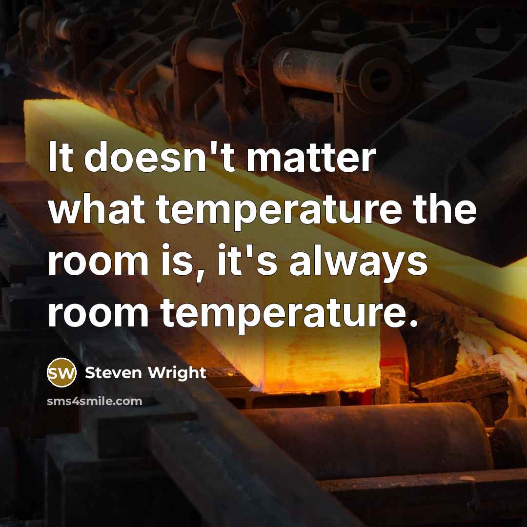 “It doesn't matter what temperature the room is, it's always room temperature.” quote by Steven Wright