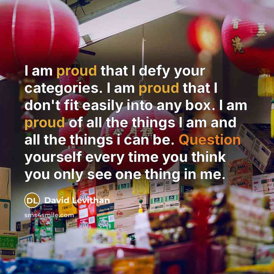 “I am proud that I defy your categories. I am proud that I don't fit easily into any box. I am proud of all the things I am and all the things i can be. Question yourself every time you think you only see one thing in me.” quote by David Levithan
