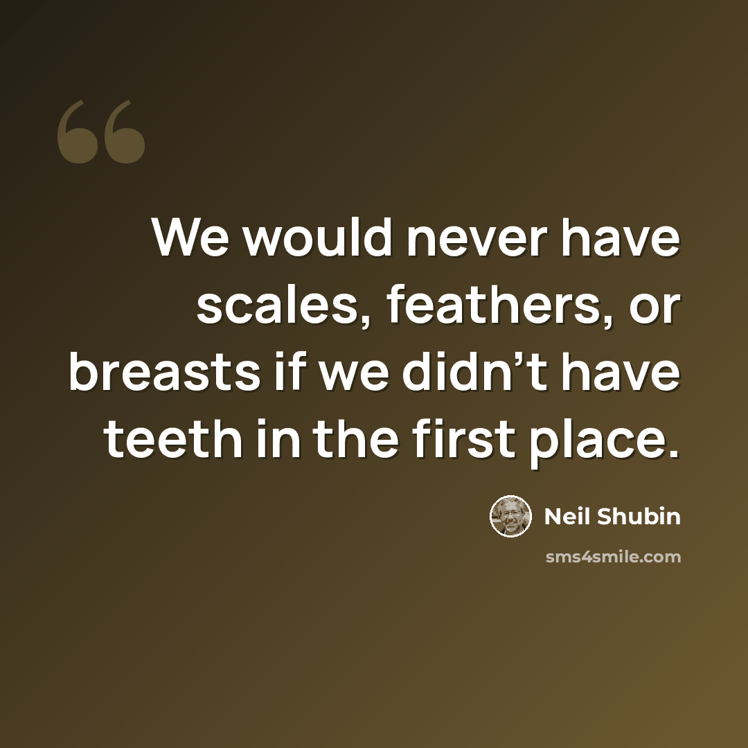 “We would never have scales, feathers, or breasts if we didn't have teeth in the first place.” quote by Neil Shubin