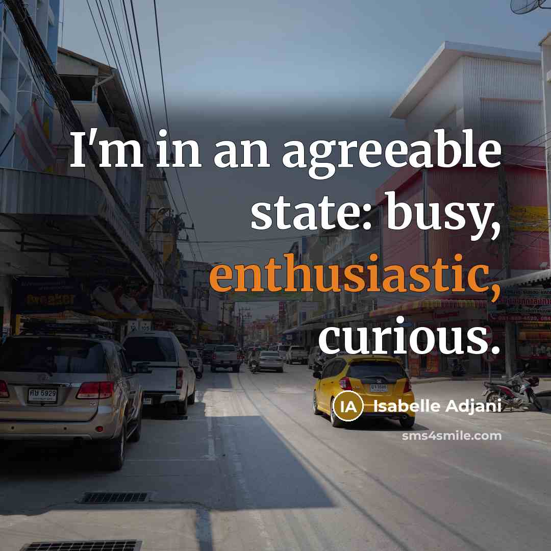 “I'm in an agreeable state: busy, enthusiastic, curious.” quote by Isabelle Adjani