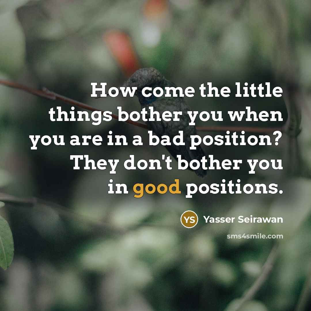 “How come the little things bother you when you are in a bad position? They don't bother you in good positions.” quote by Yasser Seirawan