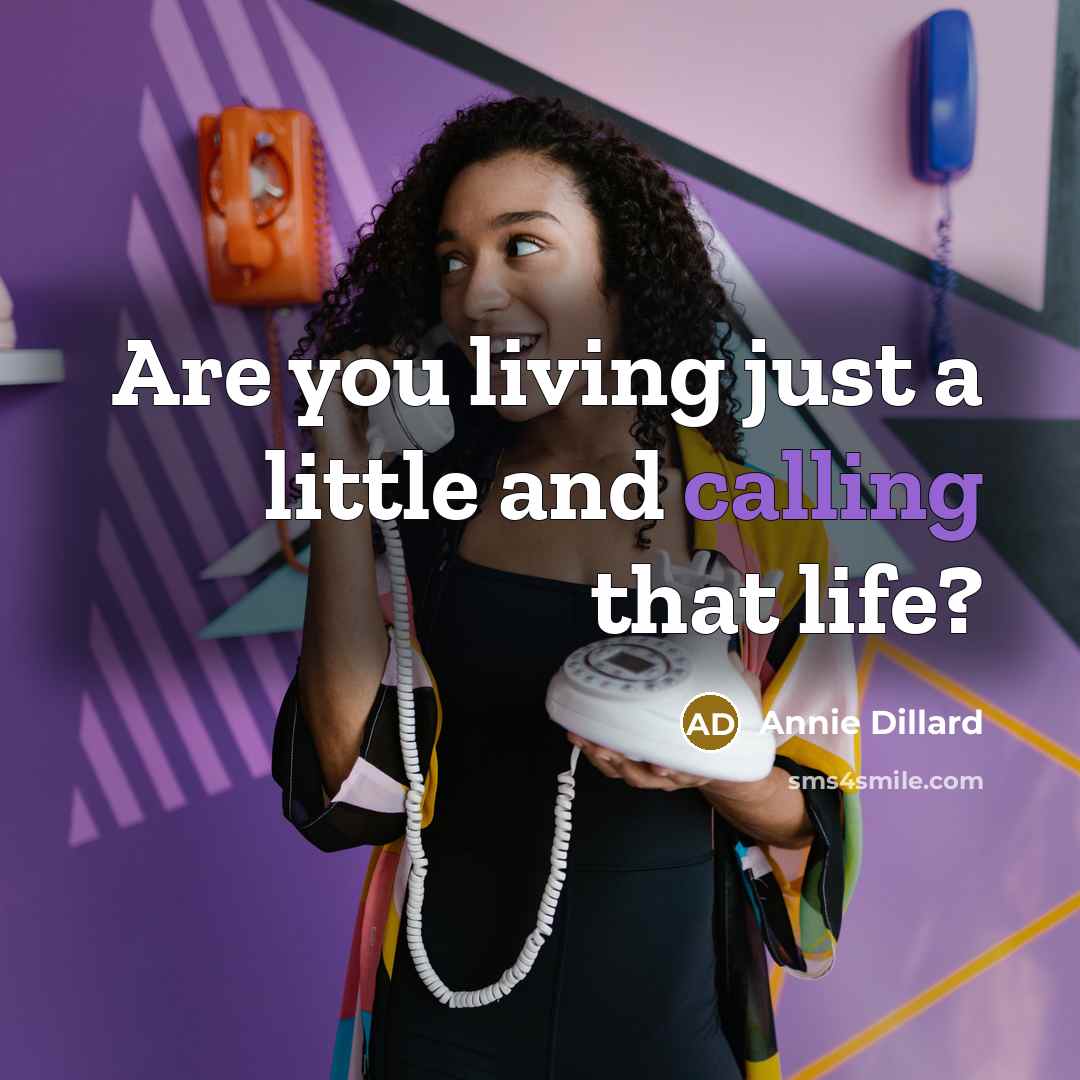 “Are you living just a little and calling that life?” quote by Annie Dillard