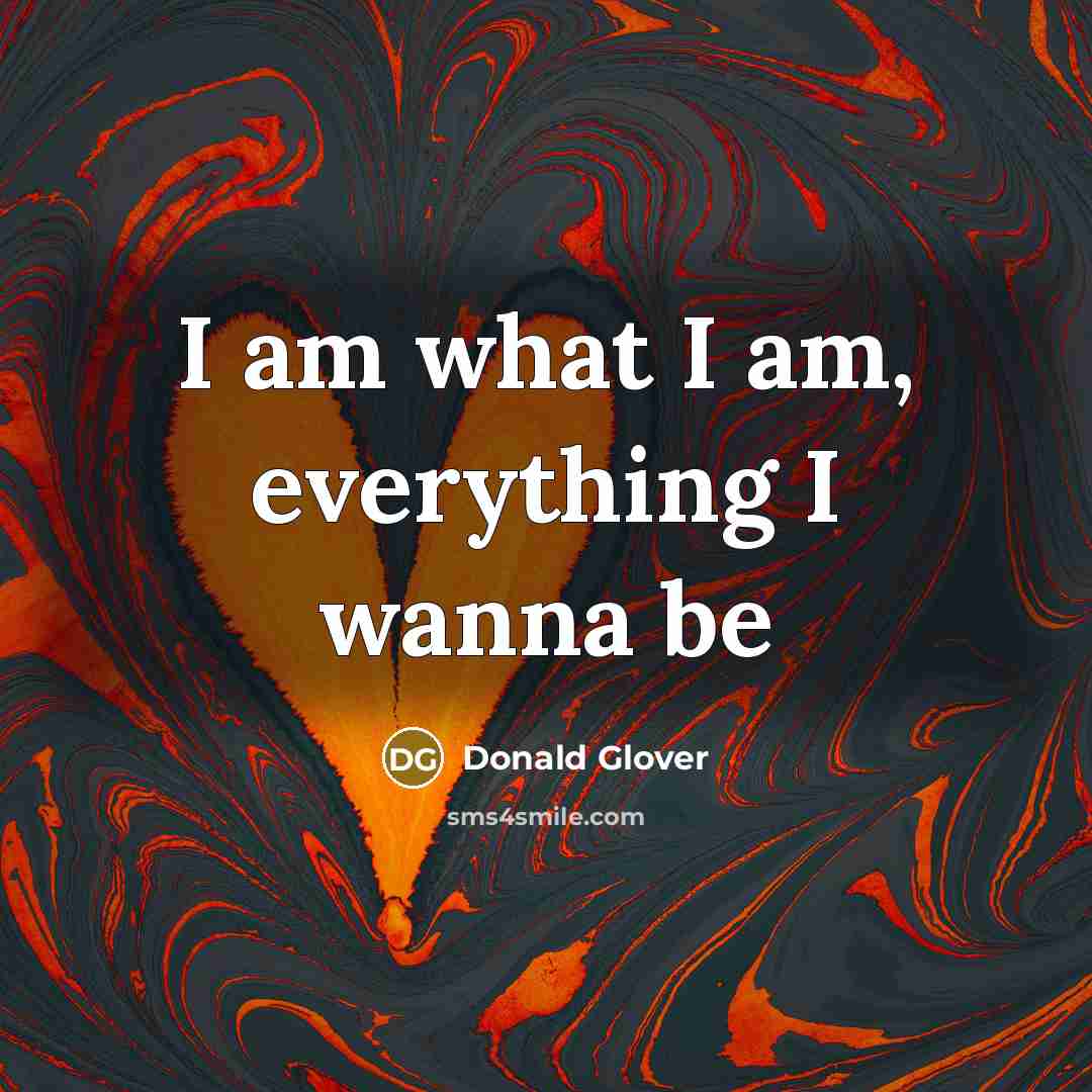 “I am what I am, everything I wanna be” quote by Donald Glover