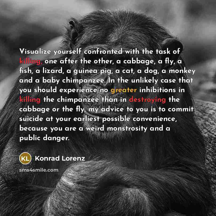 “Visualize yourself confronted with the task of killing, one after the other, a cabbage, a fly, a fish, a lizard, a guinea pig, a cat, a dog, a monkey and a baby chimpanzee. In the unlikely case that you should experience no greater inhibitions in killing the chimpanzee than in destroying the…” quote by Konrad Lorenz