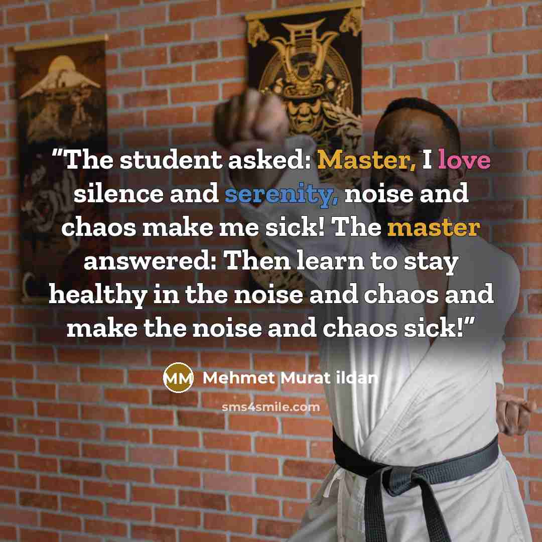 “The student asked: Master, I love silence and serenity, noise and chaos make me sick! The master answered: Then learn to stay healthy in the noise and chaos and make the noise and chaos sick!” quote by Mehmet Murat ildan