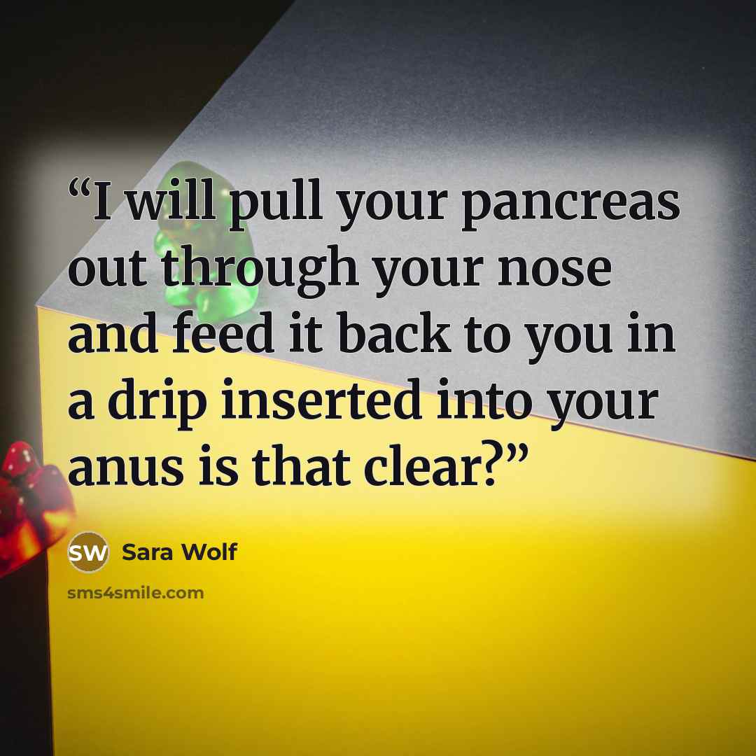 “I will pull your pancreas out through your nose and feed it back to you in a drip inserted into your anus is that clear?” quote by Sara Wolf