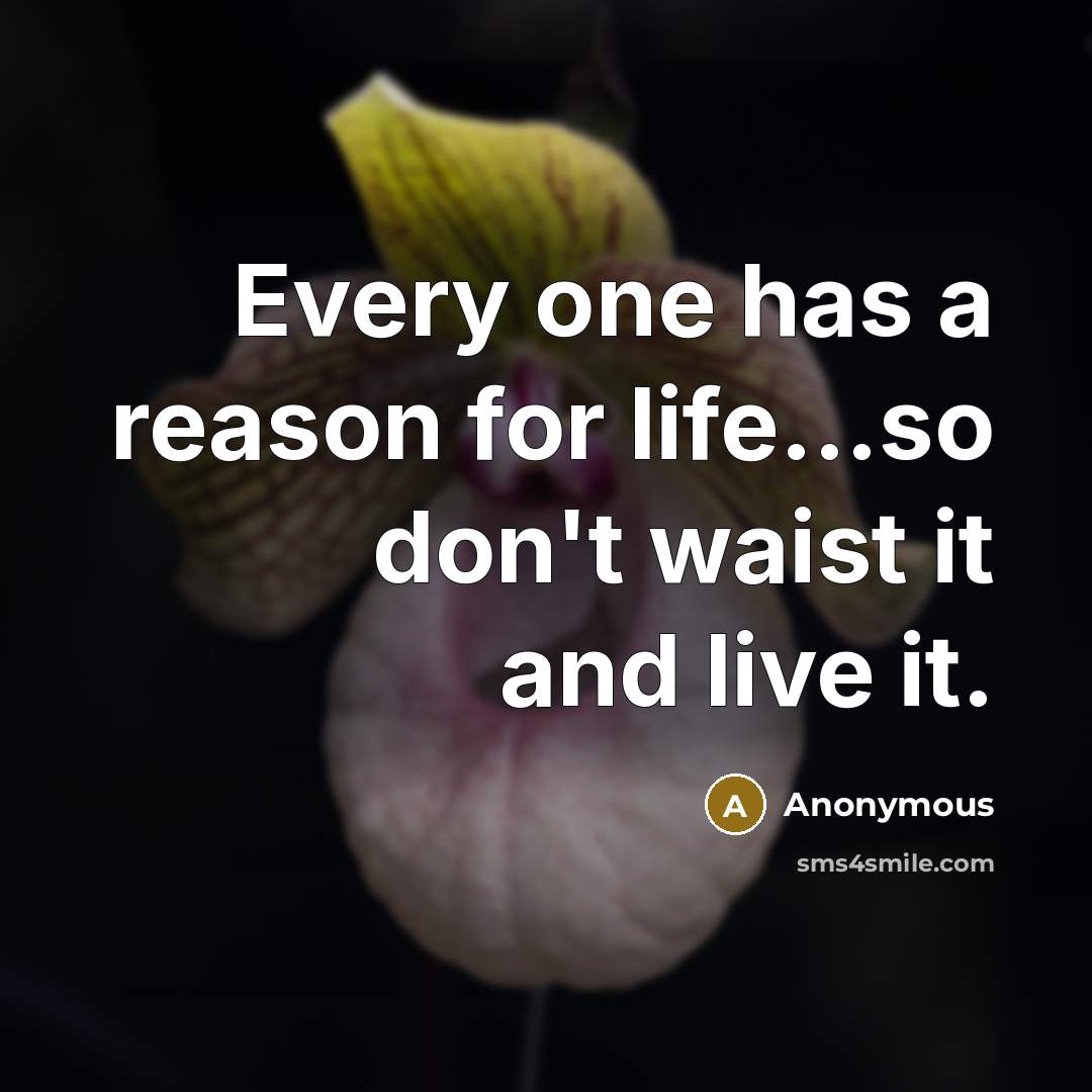 “Every one has a reason for life...so don't waist it and live it.” quote by Anonymous