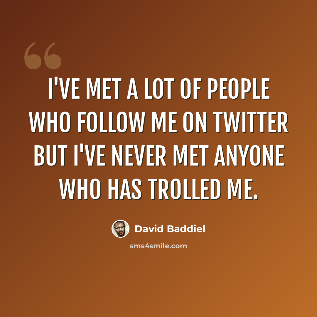 “I've met a lot of people who follow me on Twitter but I've never met anyone who has trolled me.” quote by David Baddiel