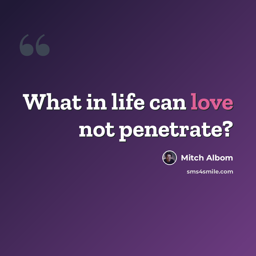 “What in life can love not penetrate?” quote by Mitch Albom