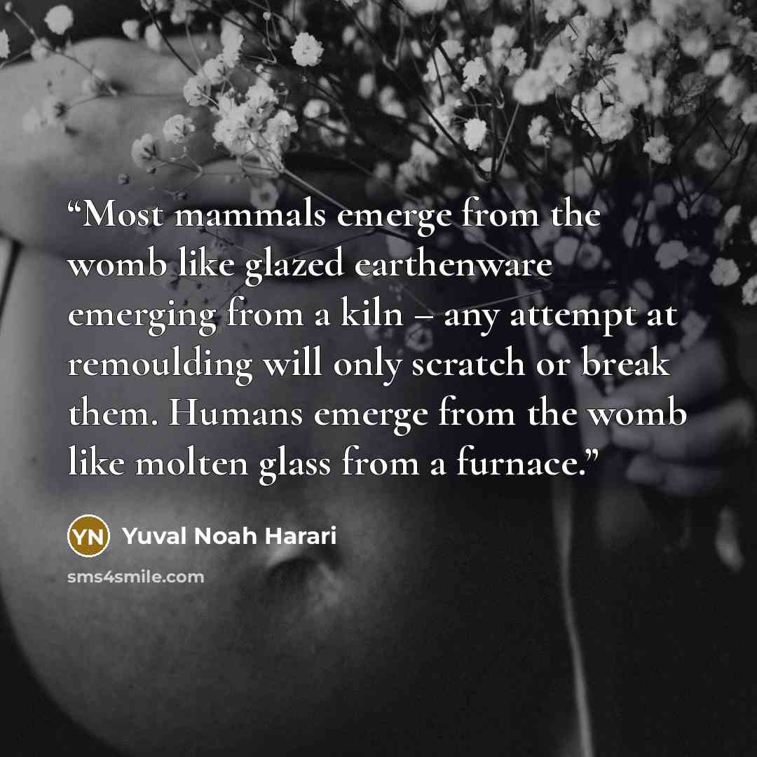 “Most mammals emerge from the womb like glazed earthenware emerging from a kiln – any attempt at remoulding will only scratch or break them. Humans emerge from the womb like molten glass from a furnace.” quote by Yuval Noah Harari