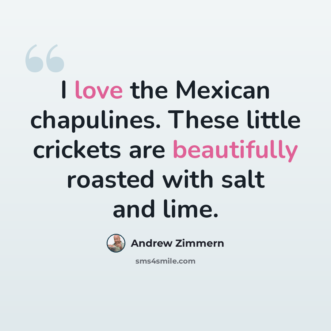 “I love the Mexican chapulines. These little crickets are beautifully roasted with salt and lime.” quote by Andrew Zimmern