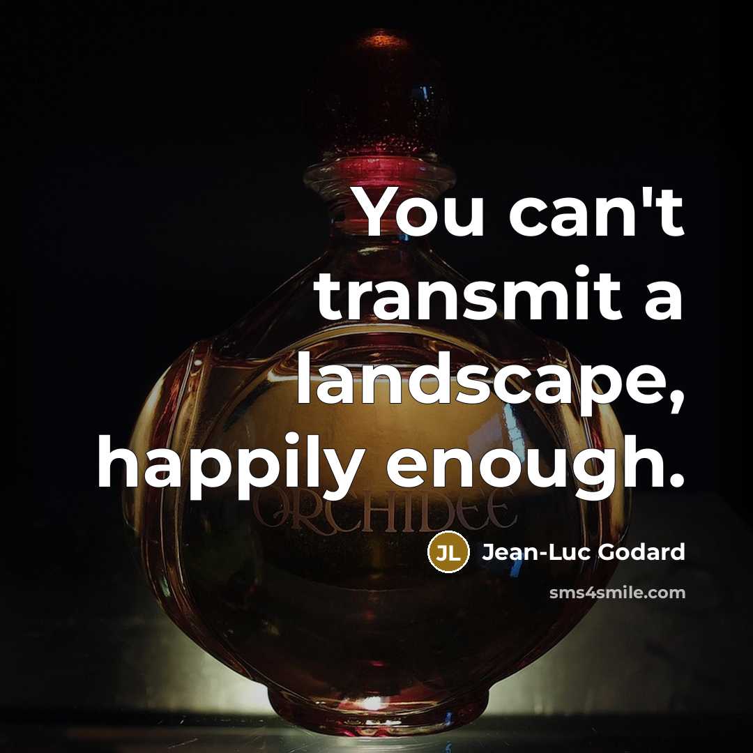 “You can't transmit a landscape, happily enough.” quote by Jean-Luc Godard