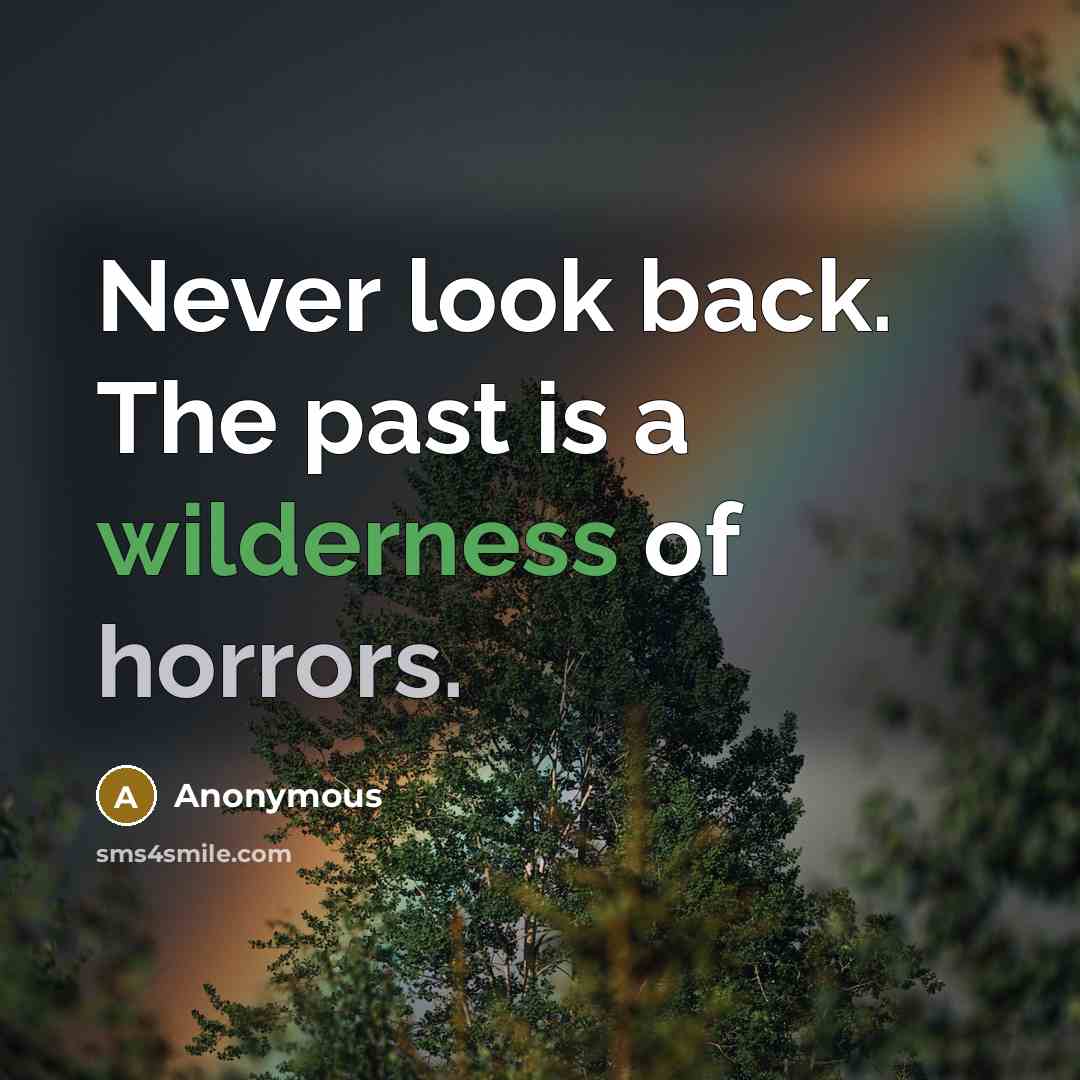 “Never look back. The past is a wilderness of horrors.” quote by Anonymous
