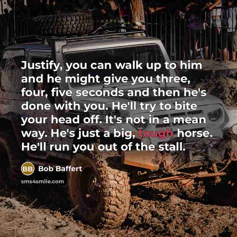 “Justify, you can walk up to him and he might give you three, four, five seconds and then he's done with you. He'll try to bite your head off. It's not in a mean way. He's just a big, tough horse. He'll run you out of the stall.” quote by Bob Baffert