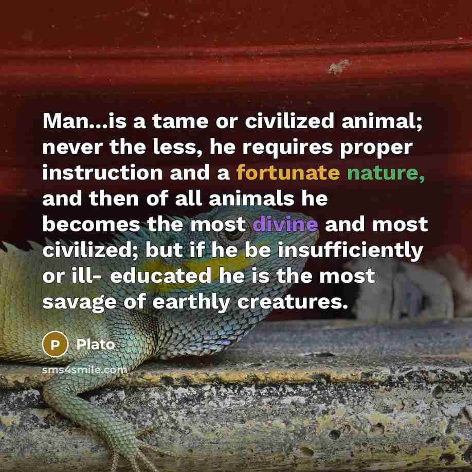 “Man...is a tame or civilized animal; never the less, he requires proper instruction and a fortunate nature, and then of all animals he becomes the most divine and most civilized; but if he be insufficiently or ill- educated he is the most savage of earthly creatures.” quote by Plato