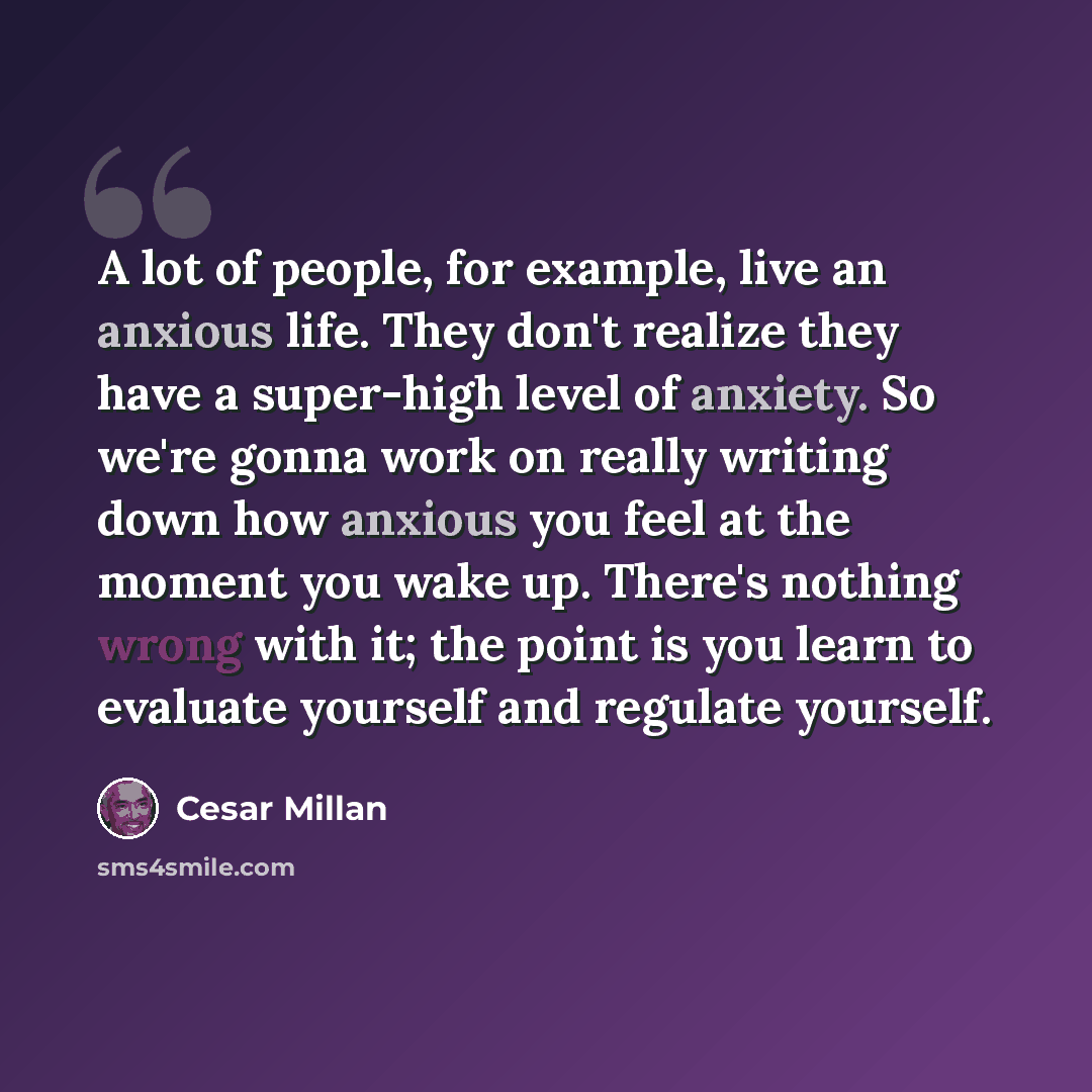 “A lot of people, for example, live an anxious life. They don't realize they have a super-high level of anxiety. So we're gonna work on really writing down how anxious you feel at the moment you wake up. There's nothing wrong with it; the point is you learn to evaluate yourself and regulate yourself.” quote by Cesar Millan