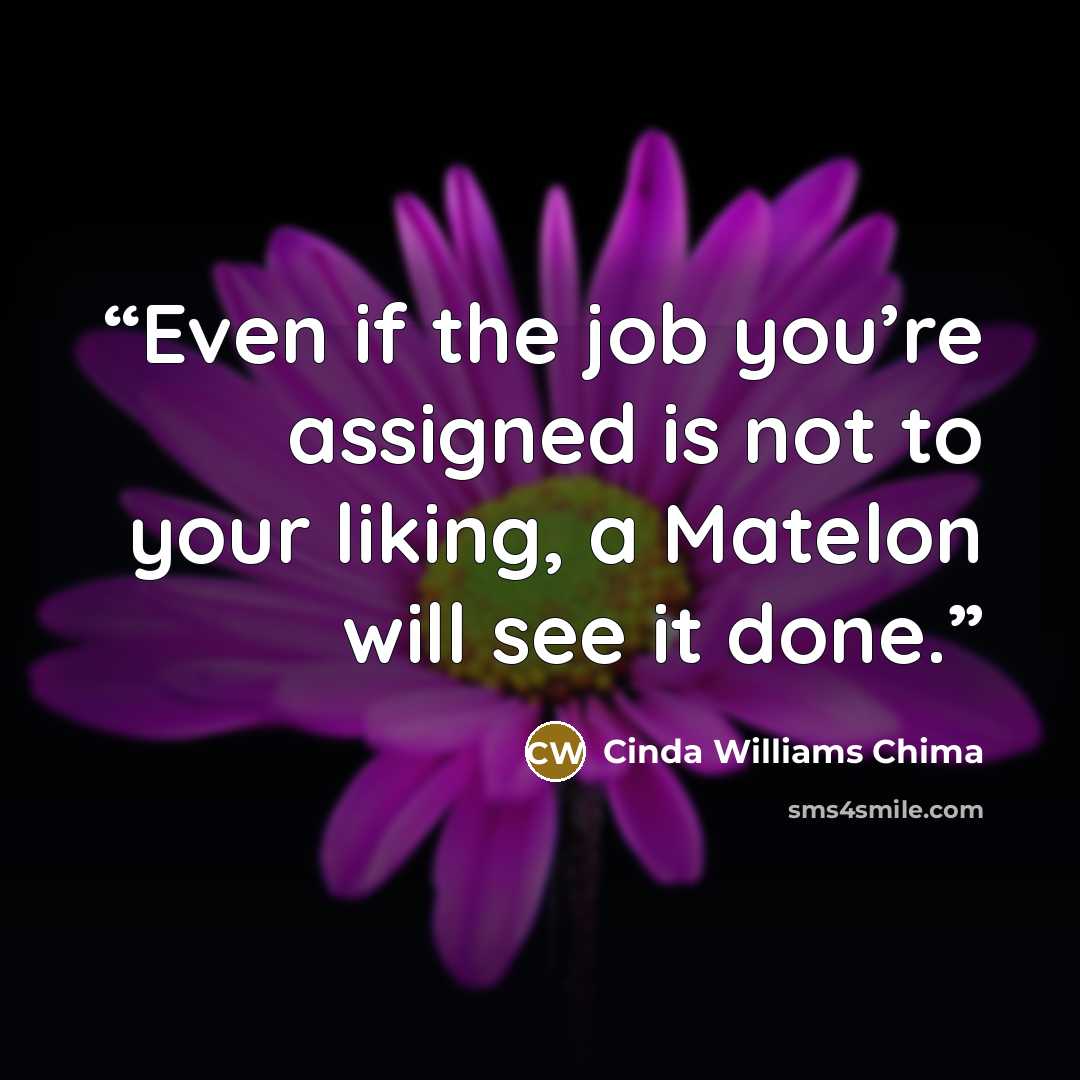 “Even if the job you’re assigned is not to your liking, a Matelon will see it done.” quote by Cinda Williams Chima