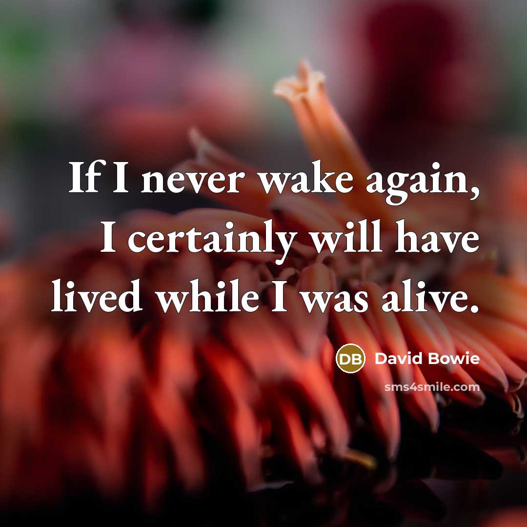 “If I never wake again, I certainly will have lived while I was alive.” quote by David Bowie