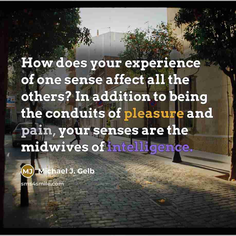 “How does your experience of one sense affect all the others? In addition to being the conduits of pleasure and pain, your senses are the midwives of intelligence.” quote by Michael J. Gelb
