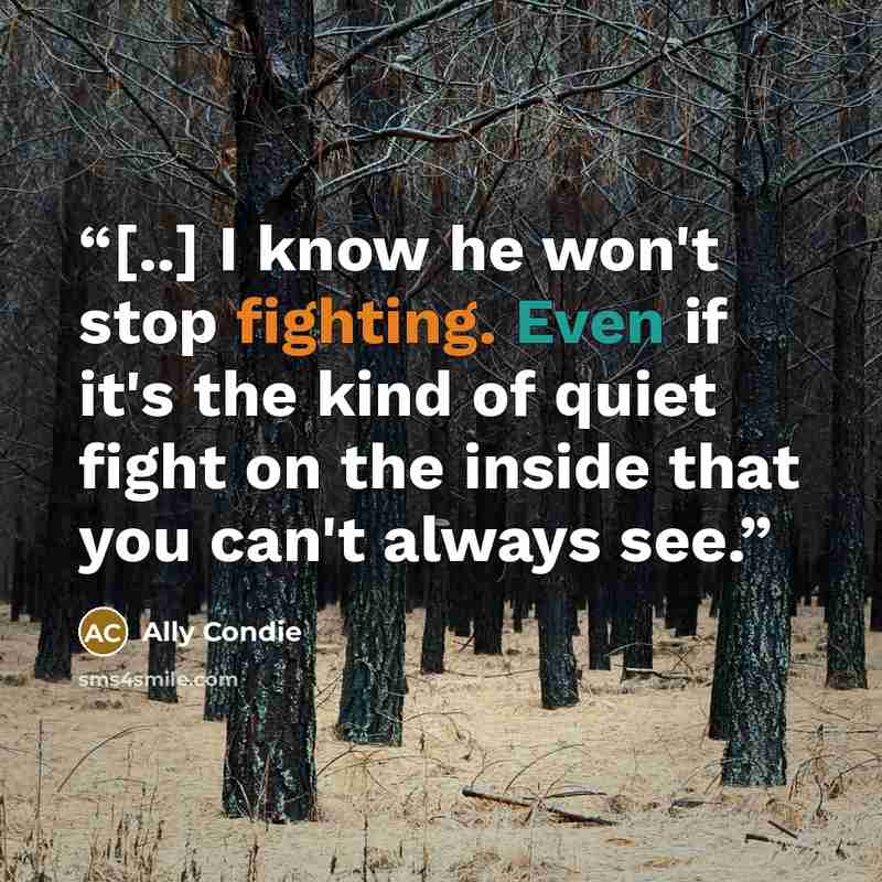 “[..] I know he won't stop fighting. Even if it's the kind of quiet fight on the inside that you can't always see.” quote by Ally Condie