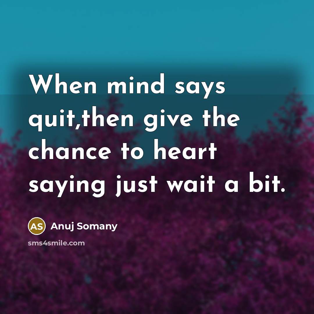 “When mind says quit,then give the chance to heart saying just wait a bit.” quote by Anuj Somany