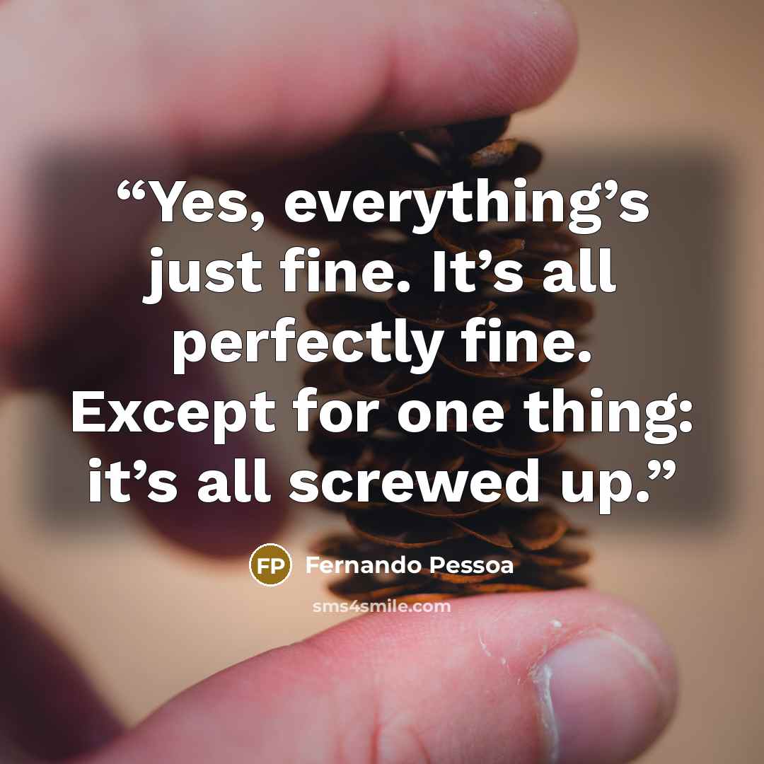 “Yes, everything’s just fine. It’s all perfectly fine. Except for one thing: it’s all screwed up.” quote by Fernando Pessoa