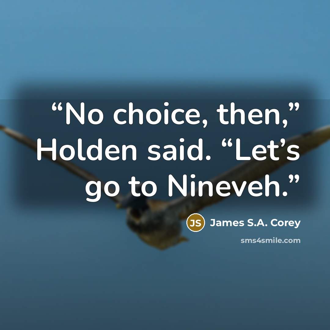 “No choice, then,” Holden said. “Let’s go to Nineveh.” quote by James S.A. Corey