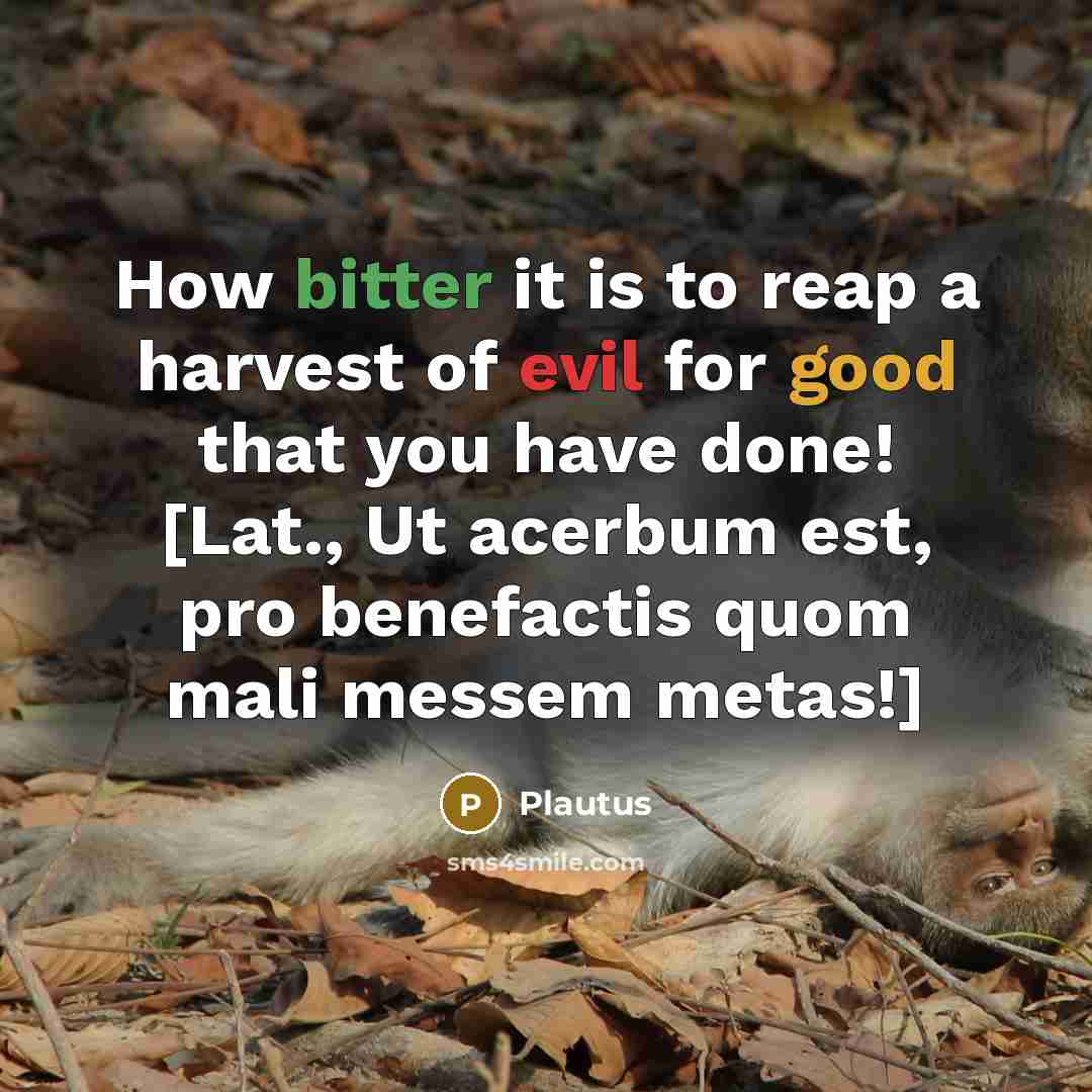 “How bitter it is to reap a harvest of evil for good that you have done! [Lat., Ut acerbum est, pro benefactis quom mali messem metas!]” quote by Plautus