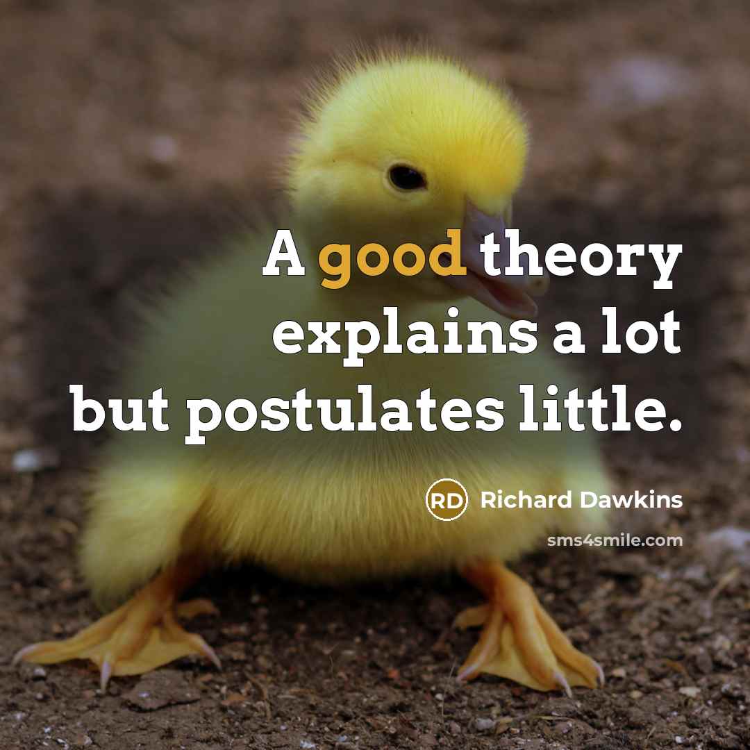 “A good theory explains a lot but postulates little.” quote by Richard Dawkins