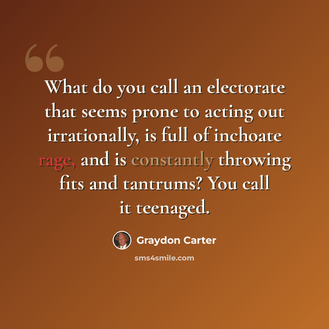 “What do you call an electorate that seems prone to acting out irrationally, is full of inchoate rage, and is constantly throwing fits and tantrums? You call it teenaged.” quote by Graydon Carter